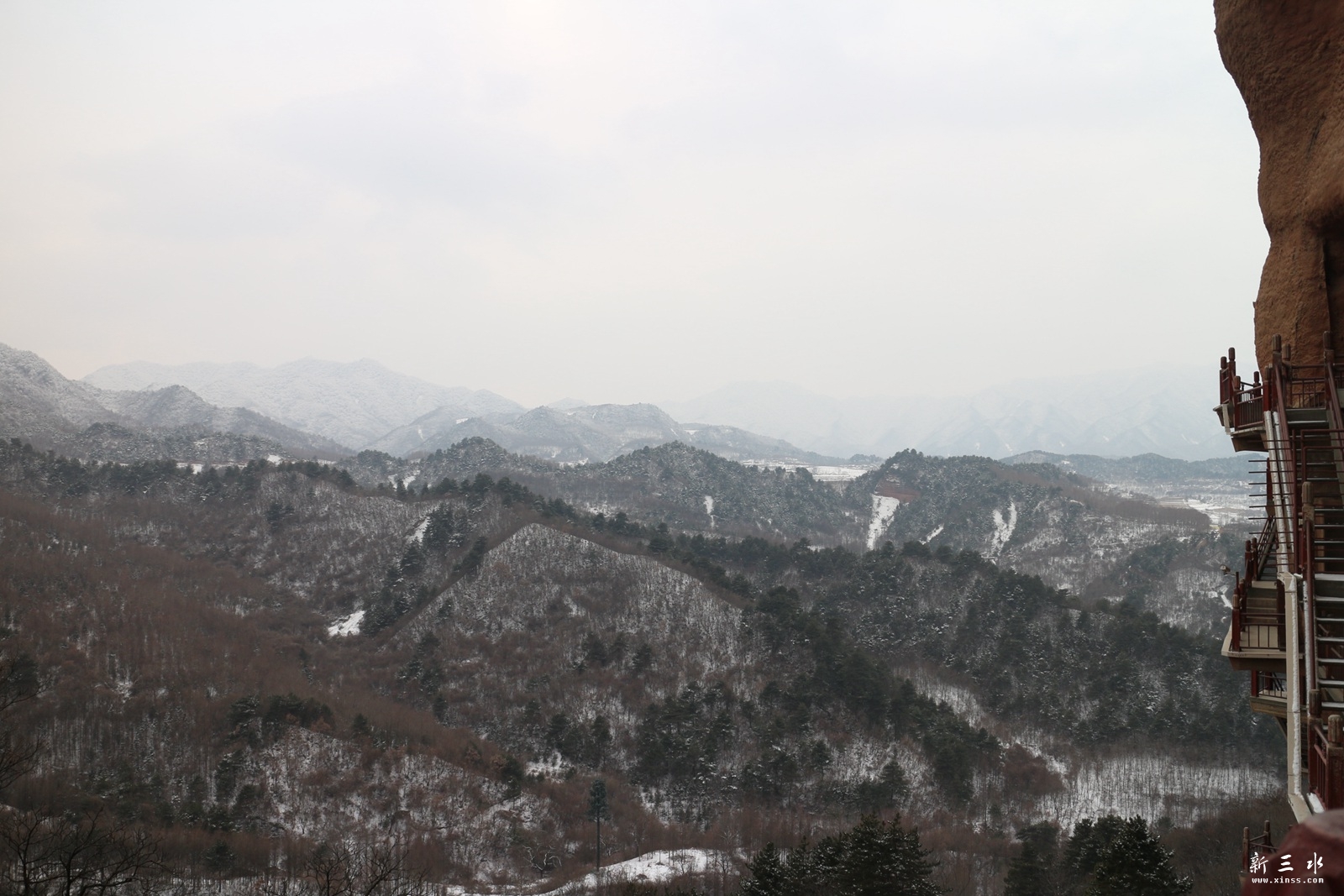 IMG_8896.JPG