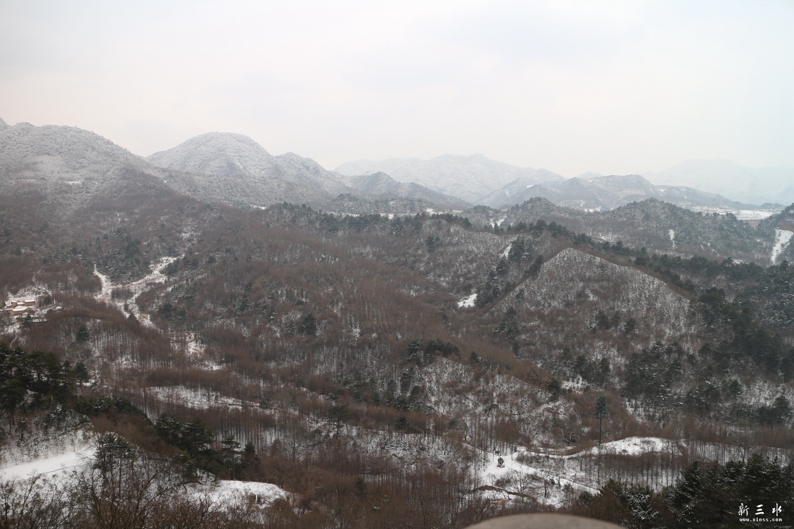 IMG_8906.JPG