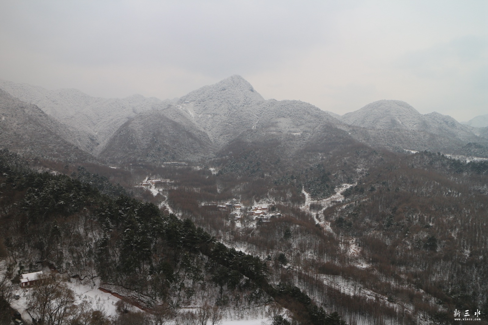 IMG_8930.JPG