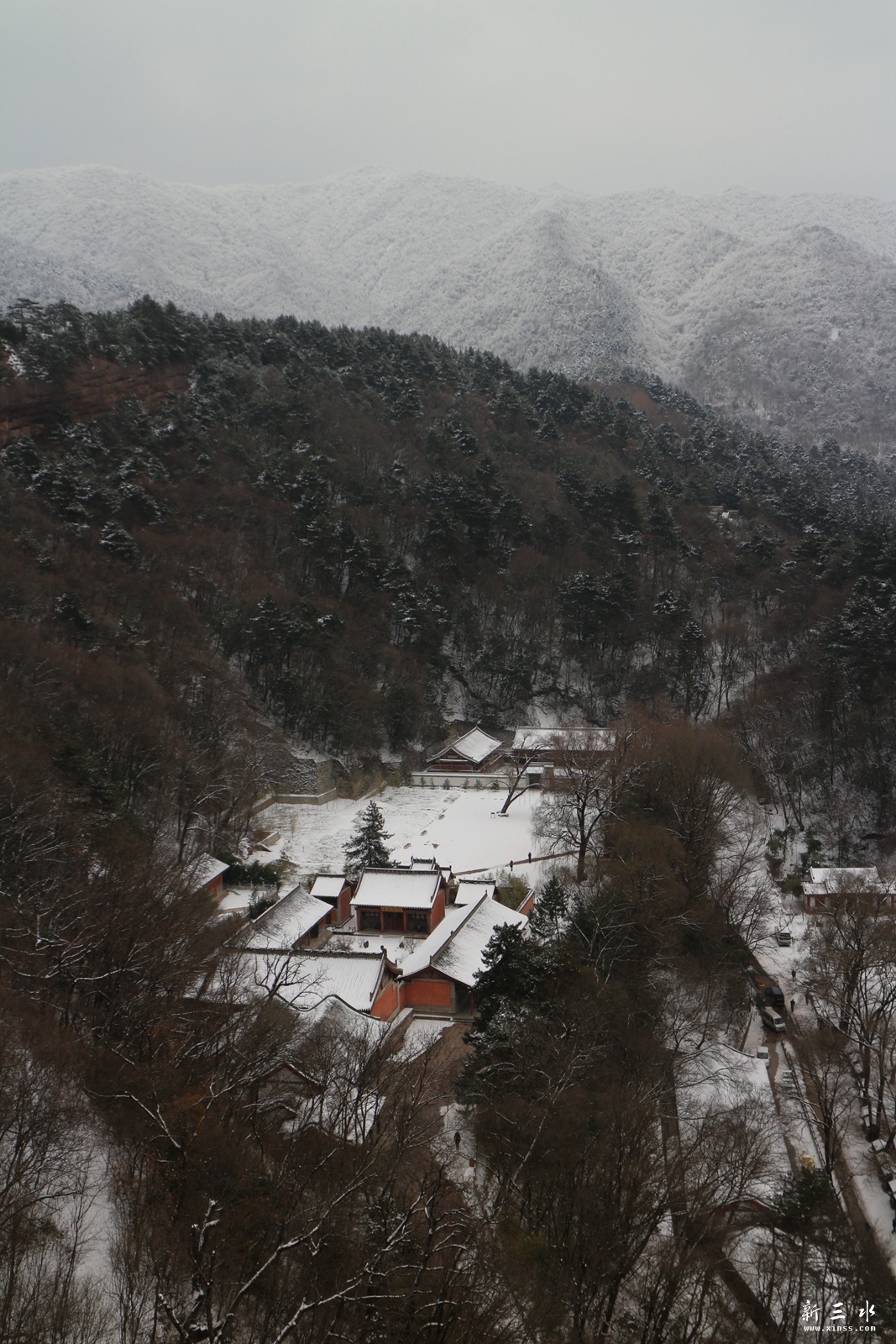 IMG_8948.JPG