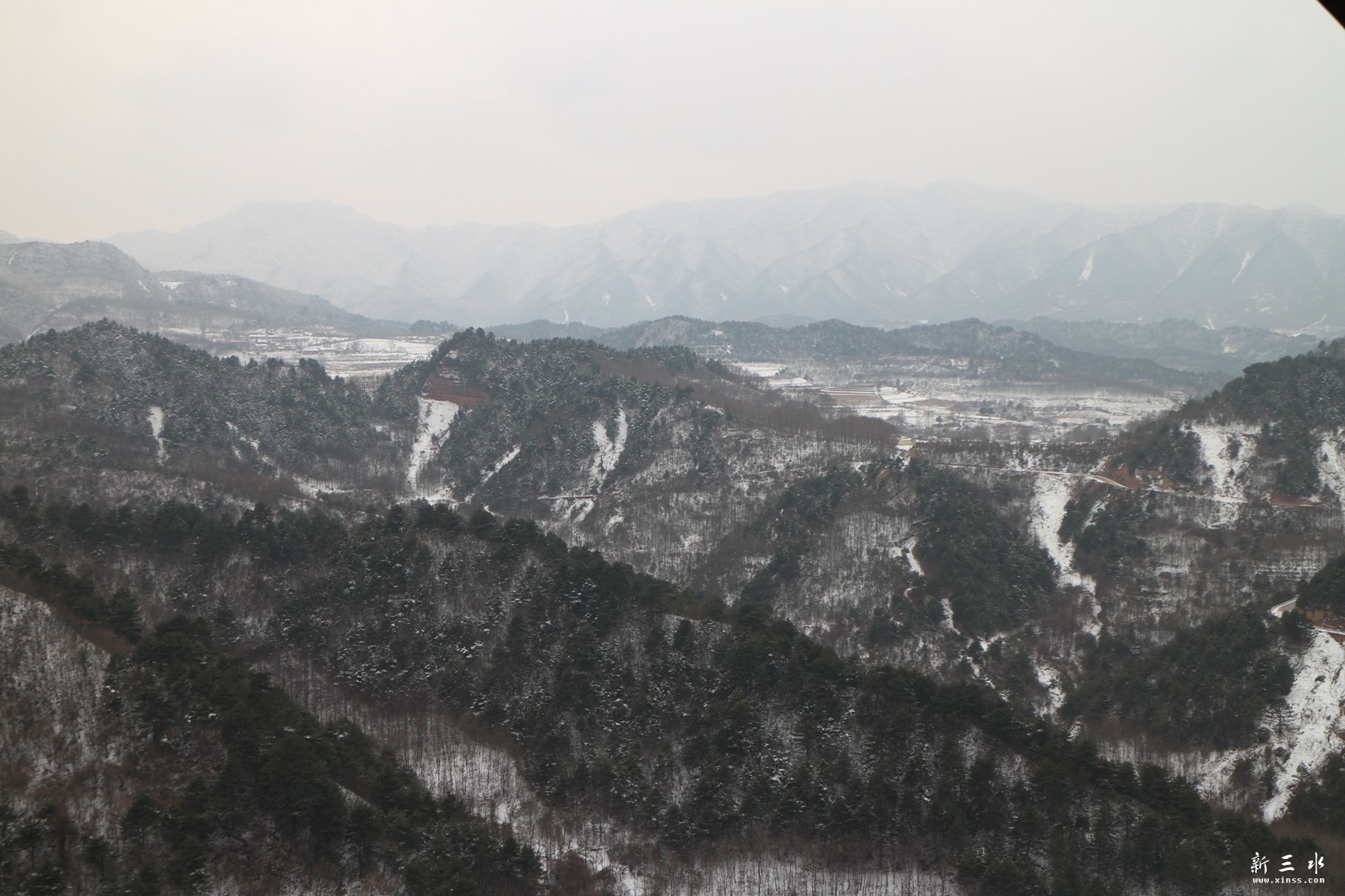 IMG_8958.JPG