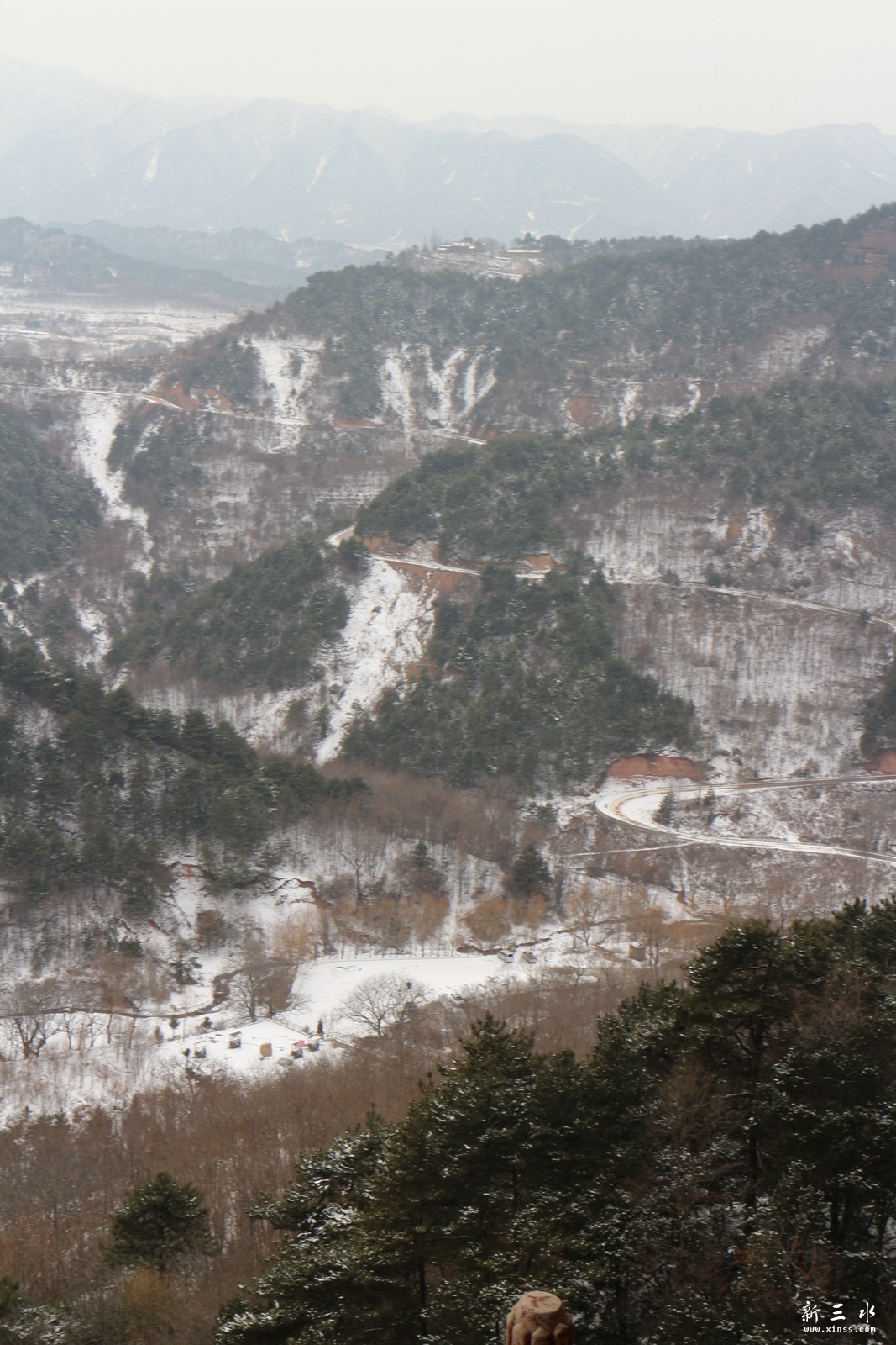 IMG_8976.JPG