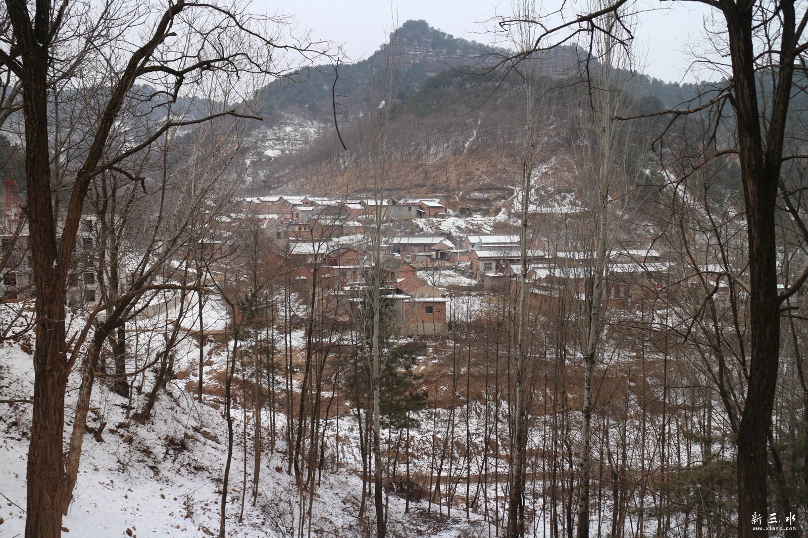 IMG_9172.JPG