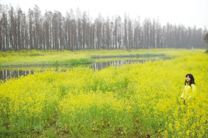 ��ˮ�ɻ������Ͳ˻�ʢ�ţ���ɫ���ˡ�