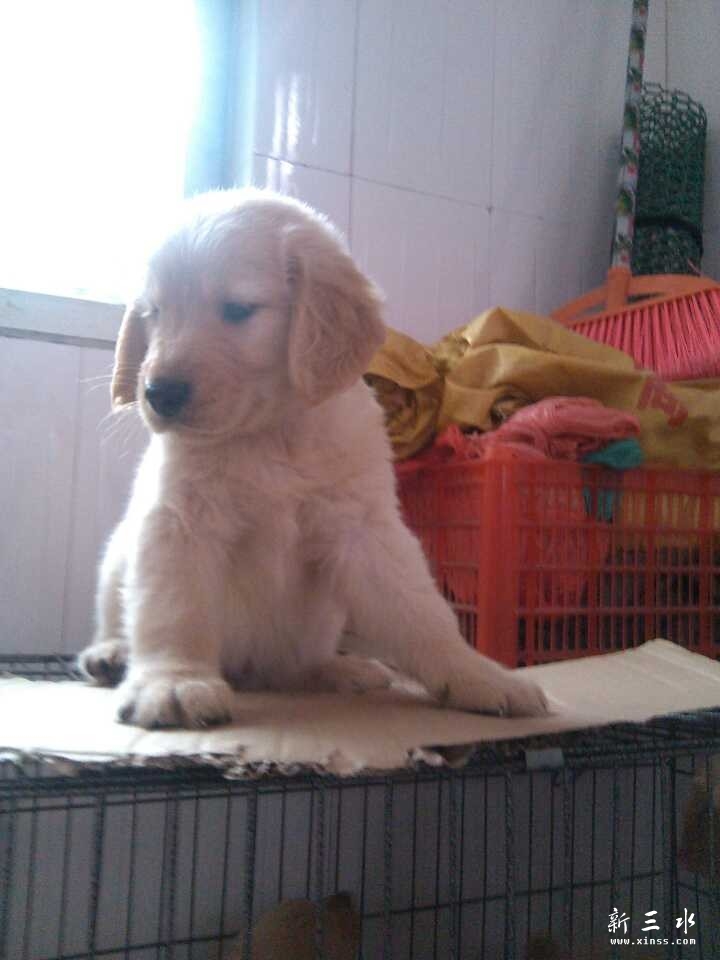 QQ图片20140407111502.jpg
