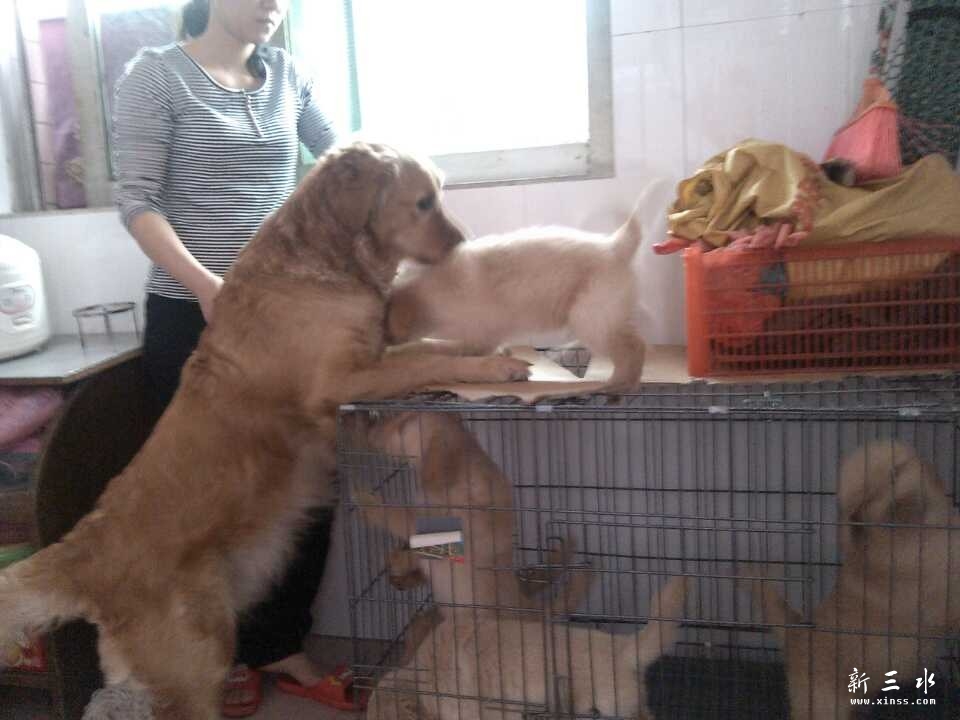 QQ图片20140407111536.jpg