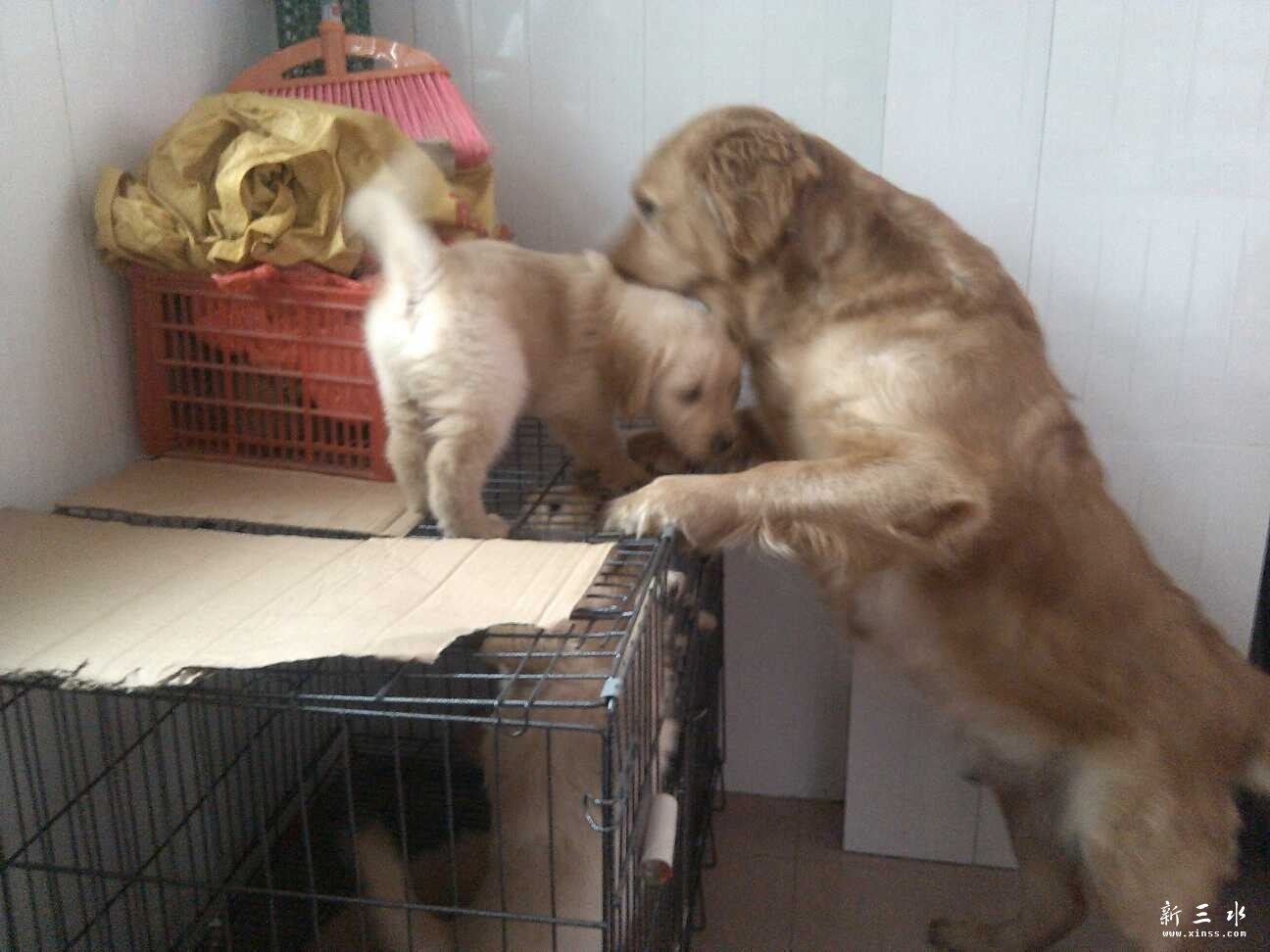 QQ图片20140407111552.jpg