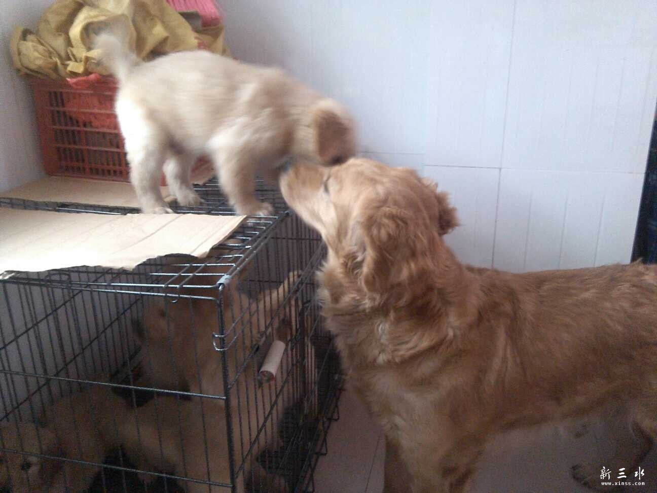 QQ图片20140407111600.jpg