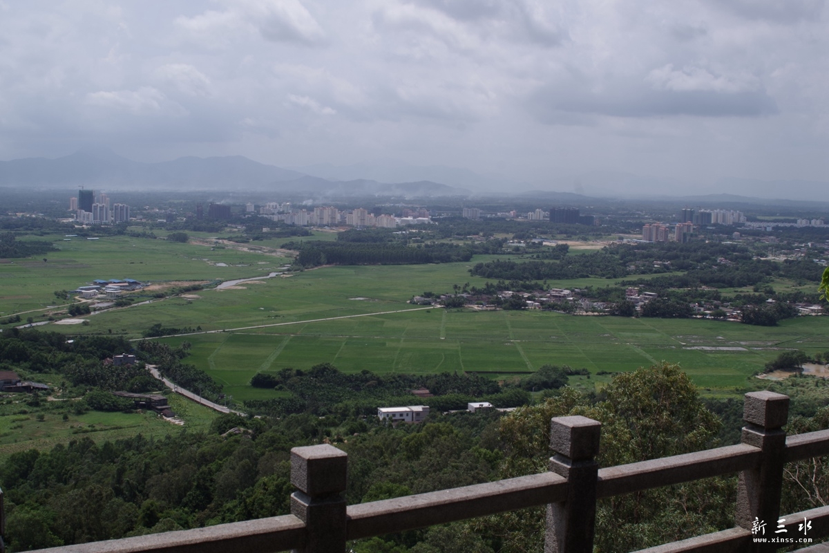 IMGP8575.JPG