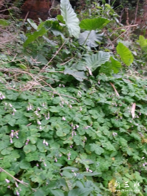 20140412_174116.jpg