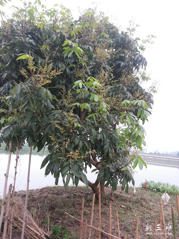 20140412_174433.jpg
