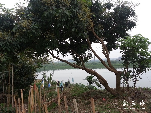 20140412_174448.jpg