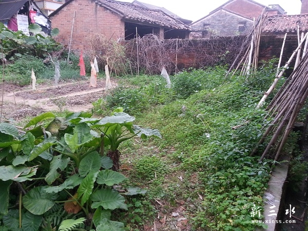 20140412_174059.jpg