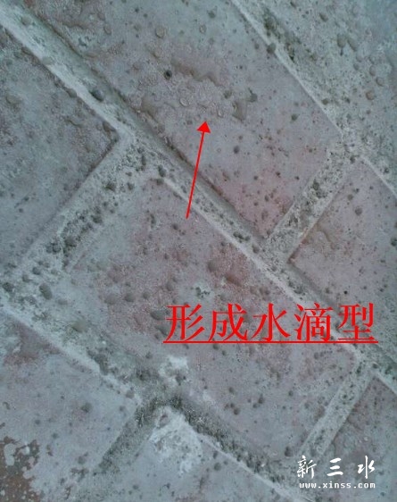 88.jpg