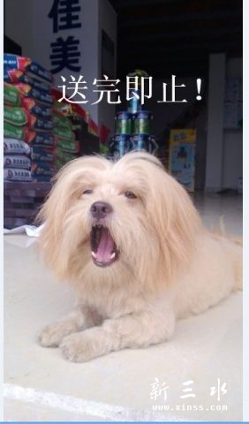 170157f16dd10mcd65u29t_jpg_thumb.jpg