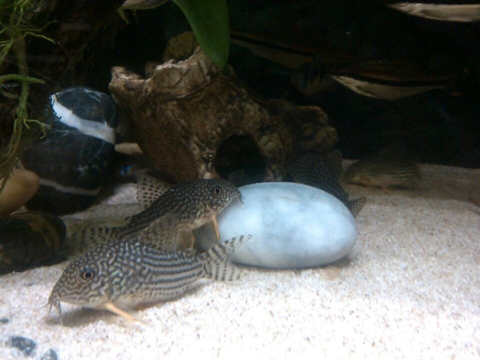 QQ图片20140511220257.jpg