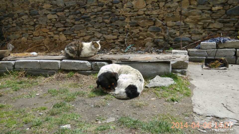 ��ջ��è�͹�Ҳ��ɹ����