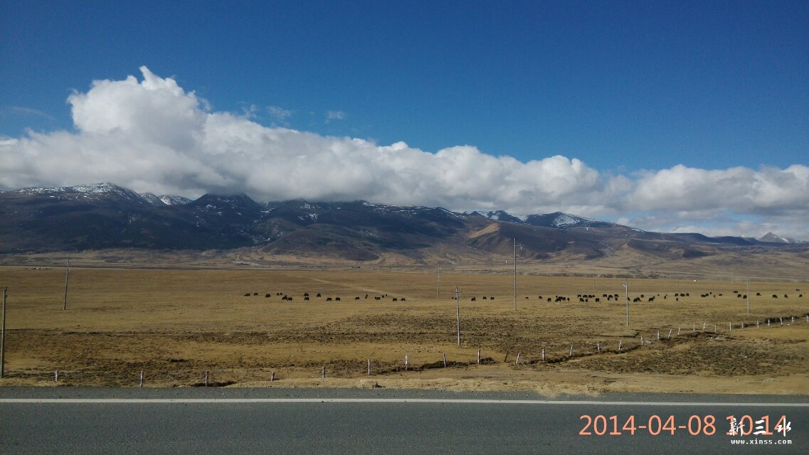 ������165km��������