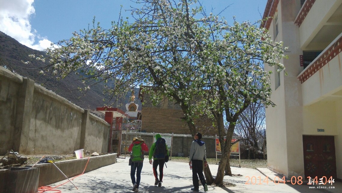 ��ﶼ�е㼱�������߽�ҽԺ��������Ժ����Ļ�������