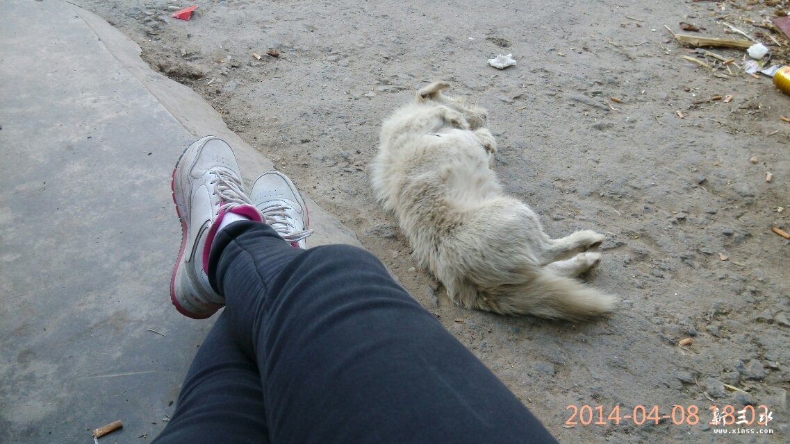 ��վ��С�����������̫�������ĵ��ϰ������ŵ��Ӹ�������лл�ˣ�