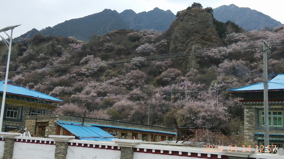 һ��һ���һ�����