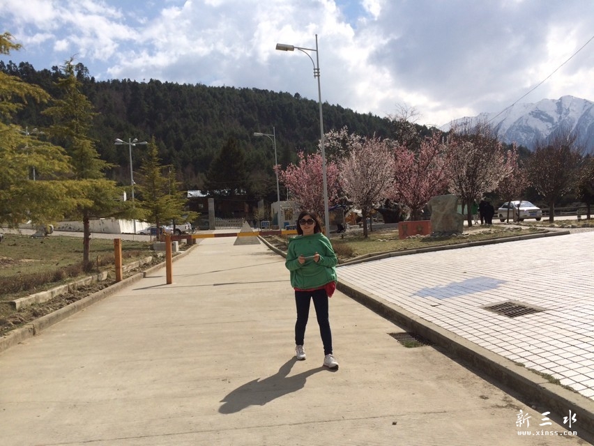 ������һ����飡