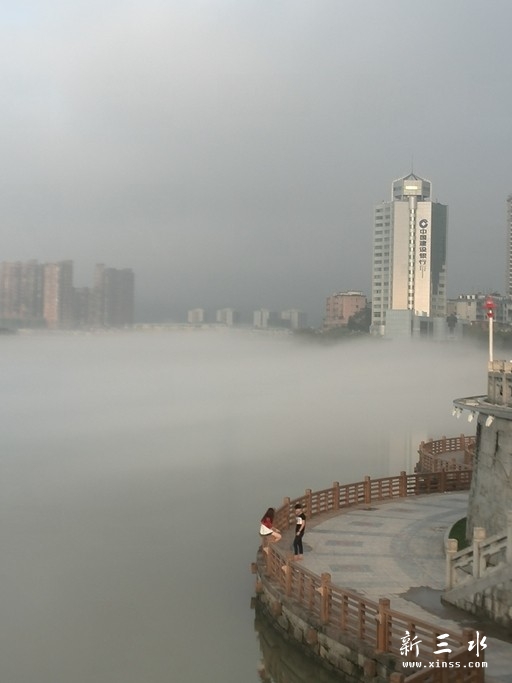 雾起东江面