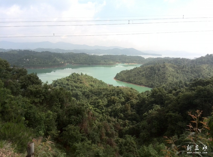 万绿湖一处