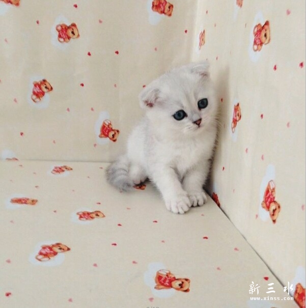 QQ图片20140527102401.jpg