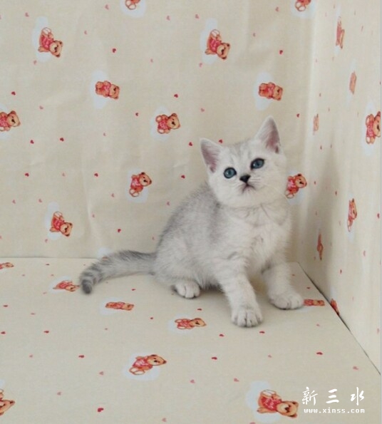 QQ图片20140527102412.jpg
