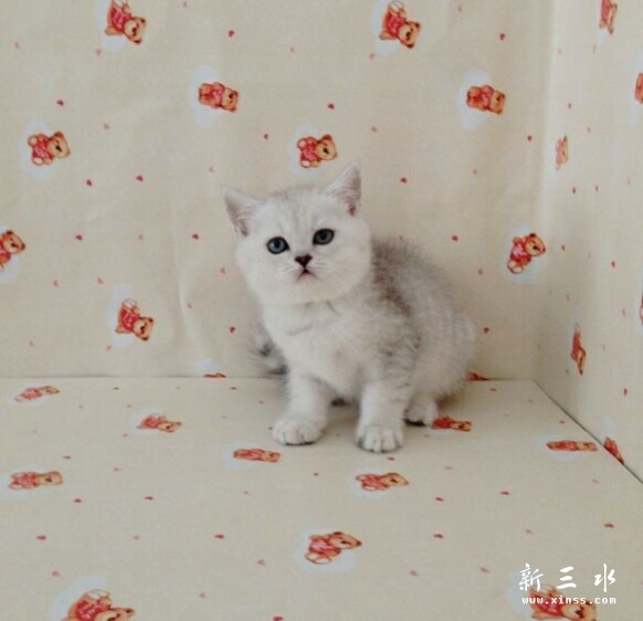 QQ图片20140527102427.jpg