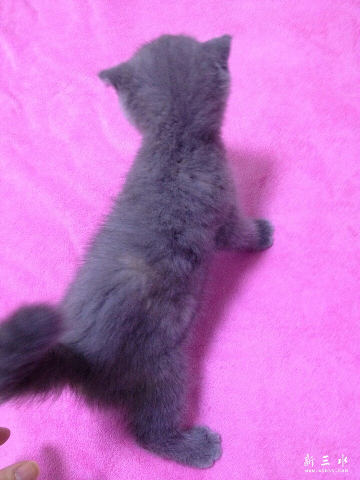 QQ图片20140527102236.jpg