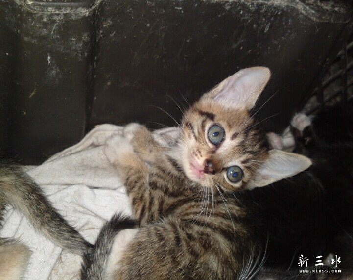 QQ图片20140606034625.jpg