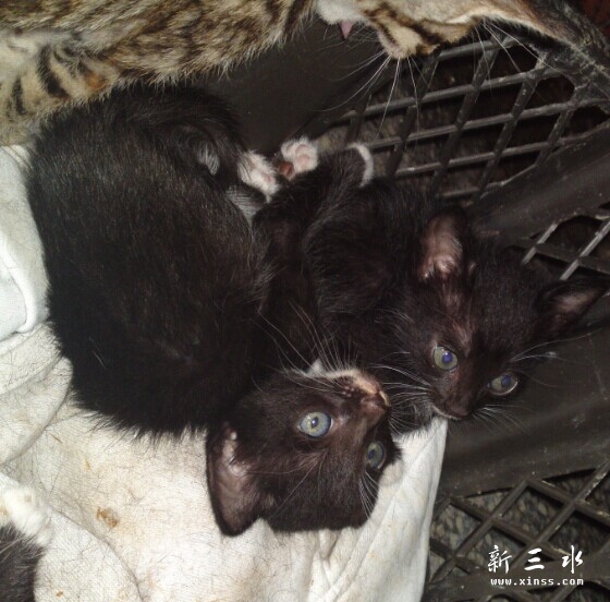 QQ图片20140606034757.jpg
