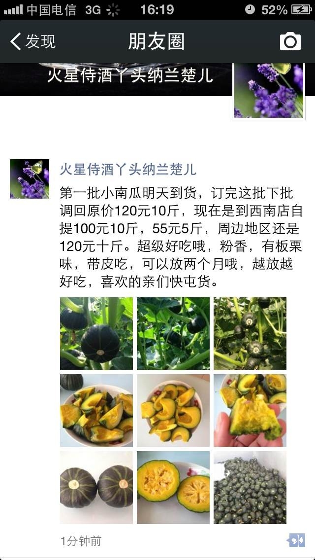 南瓜介绍2014-5-20.jpg