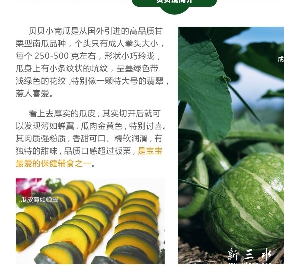 贝贝瓜简介.jpg