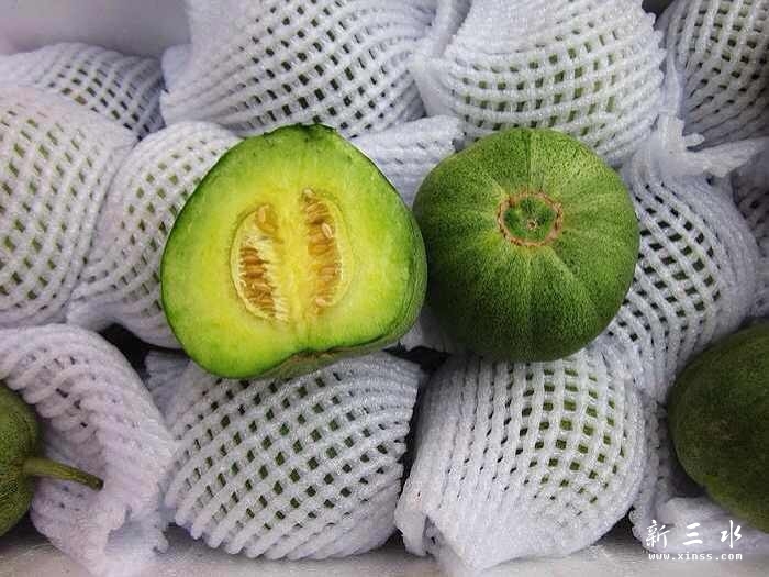 北京绿皮香瓜.jpg