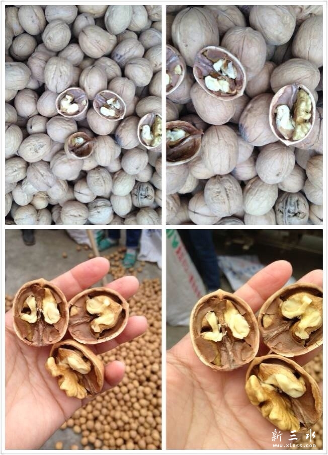 打开的核桃.jpg