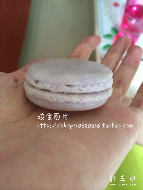 小马0.jpg