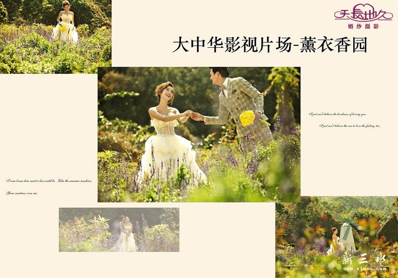 薰衣草.jpg