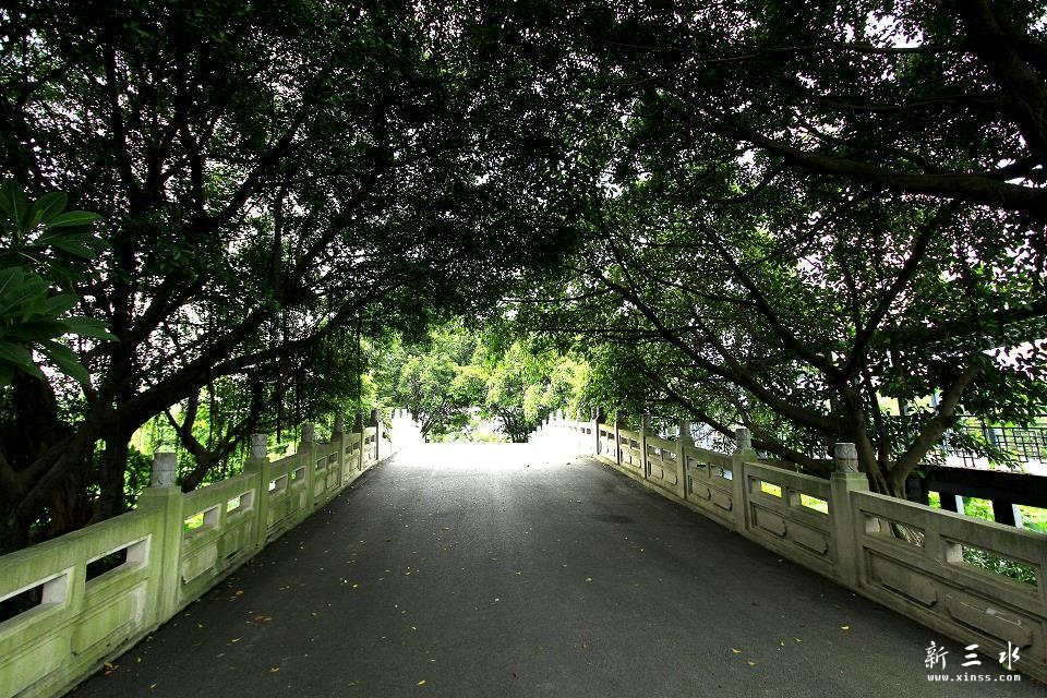 psb(15).jpg