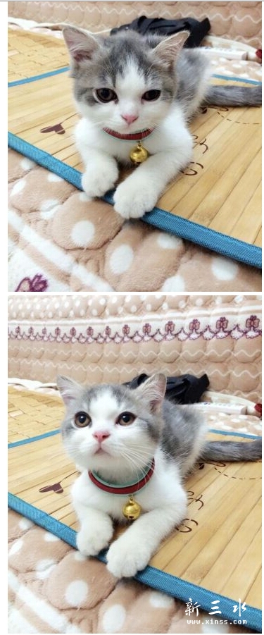 QQ截图20140822181702.jpg