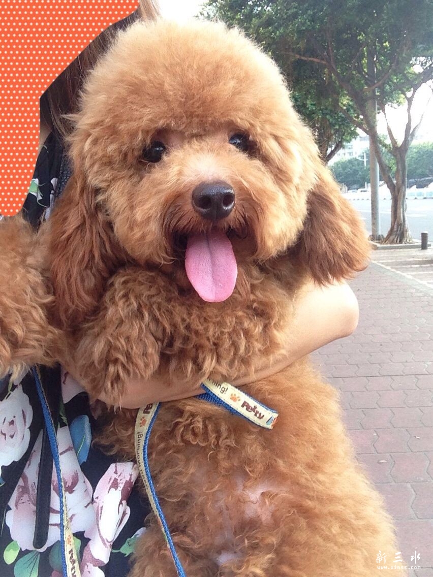 QQ图片20140909181555.jpg