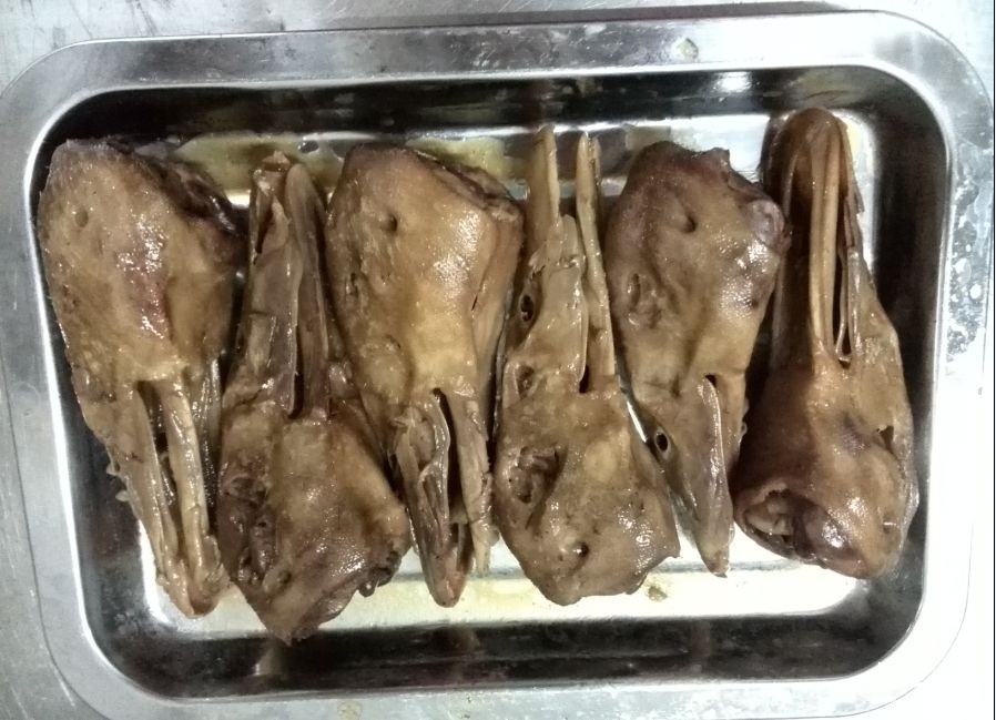 QQ图片20140916220441.jpg