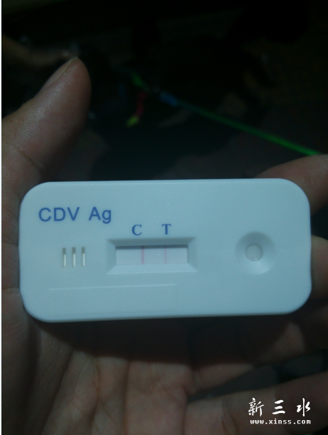 QQ截图20140924110446.png