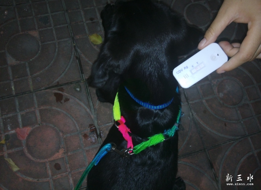 QQ截图20140924110534.png