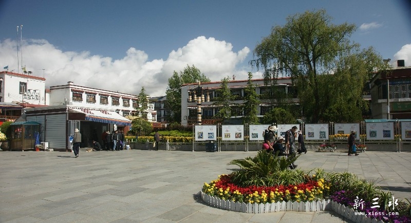 调整大小 DSC08823.jpg