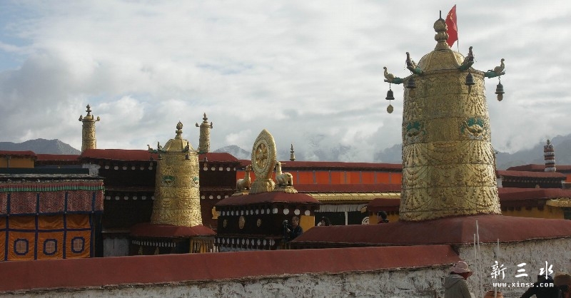 调整大小 调整大小 DSC08788.jpg