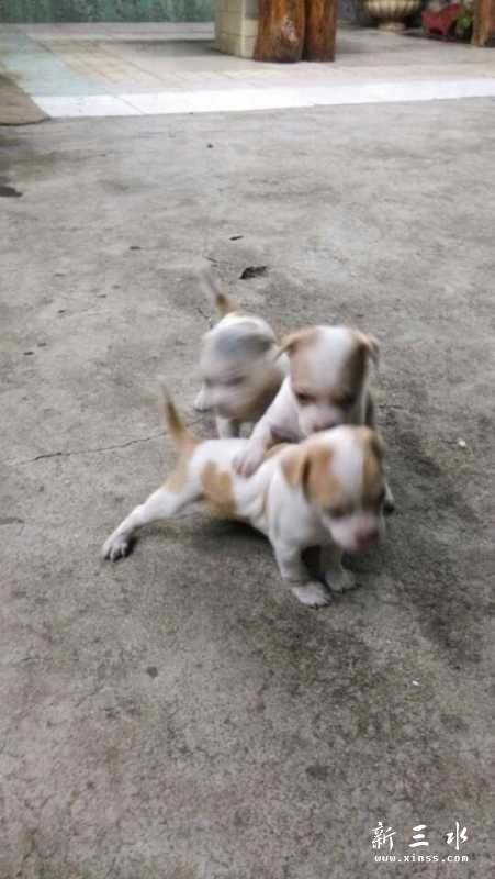 QQ图片20141007091311.jpg