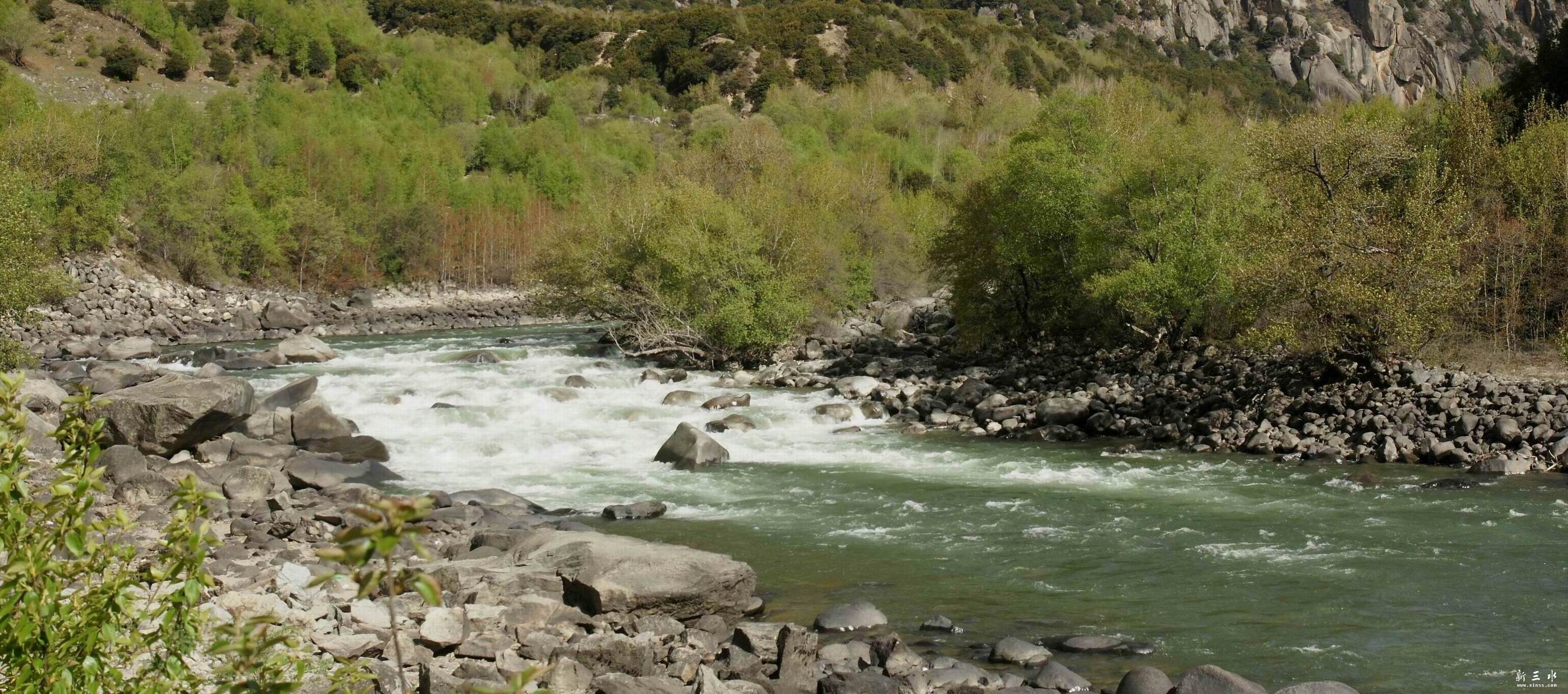 С С С С С С DSC08994.jpg